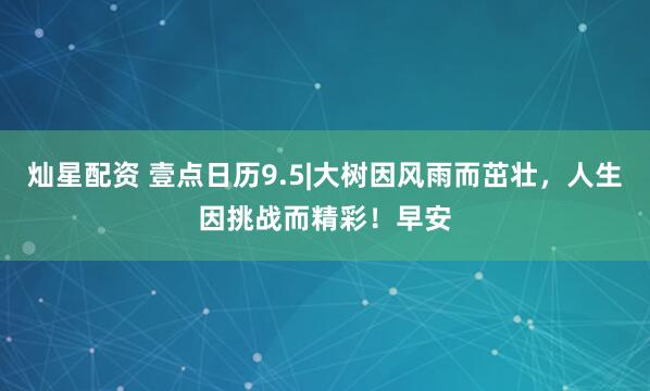 灿星配资 壹点日历9.5|大树因风雨而茁壮，人生因挑战而精彩！早安