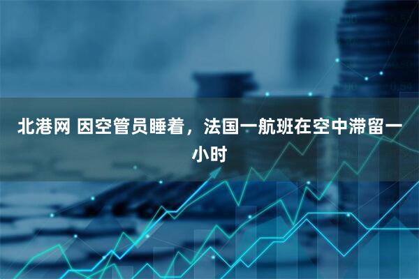 北港网 因空管员睡着，法国一航班在空中滞留一小时