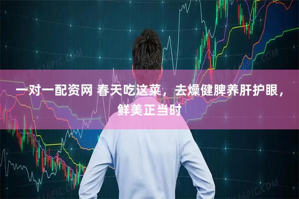 一对一配资网 春天吃这菜，去燥健脾养肝护眼，鲜美正当时